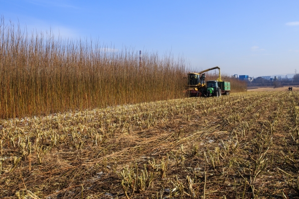 FAKRO a fianco della sostenibilità e dell'efficienza energetica